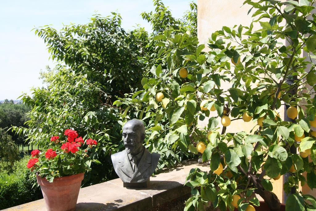 B&B Villa Sant'Anna Бергамо Экстерьер фото